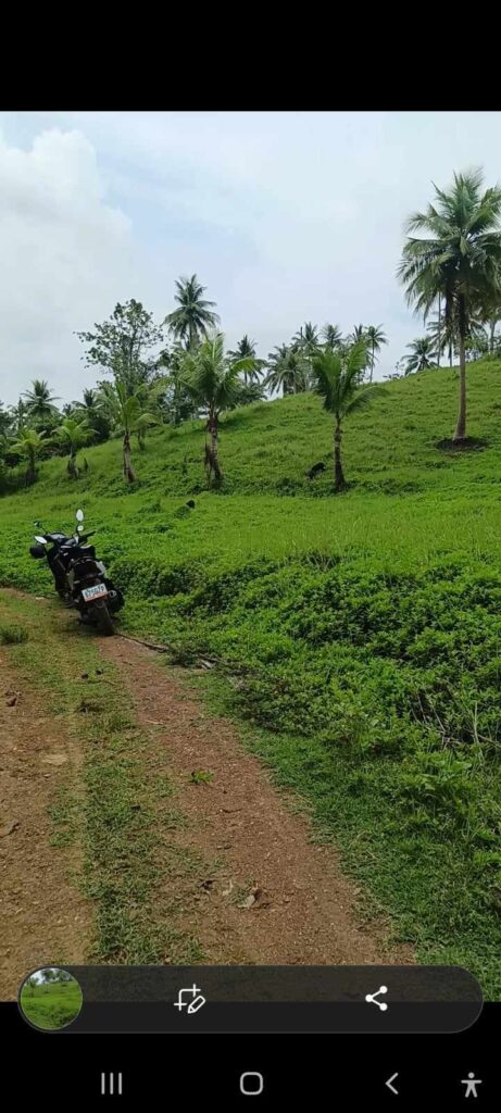 Prime Farm Land in Barili Cebu